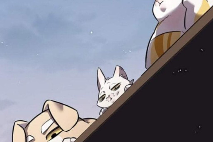 Okuma Bağlantıları Manhwa Eleceed 404 Bölüm Türkçe SCAN, Gençlik dramalarından bıktım